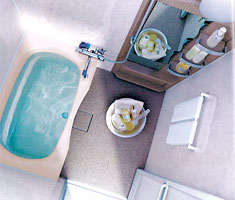 ��Ƃ肠��o�X���C�t�C���[�W